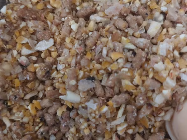 Heyratı yemi qarışığı kişmiş qoz noxud yumurta proteyin qarışığı bal