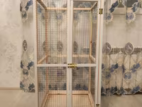 Papuqay,dovşan,hamster,şinşila,bildirçin,cücə,xamyak,pişik,quş,tısbağa — Foto 1