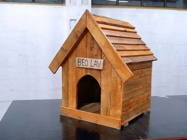 🐕 Peşəkar İt Yuvalarının Hazırlanması İtinizin rahatlığı və