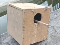 Taxta quş yuvası/kutubçası - Material: Sərt kontrplak/taxta - Forma — 照片 2