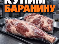 Баранина - истекающий/вышедший срок — foto 1