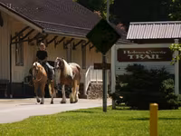 At, Quarter Horse — foto 3