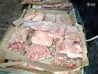 Շների և կատուների կերեր — Foto 3