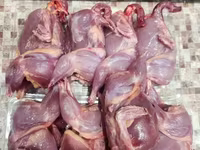 Quails — Foto 7