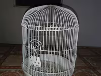 Ağ rəngli dairəvi quş qəfəsi - Material: metal telli korpus, plastik — फ़ोटो 2