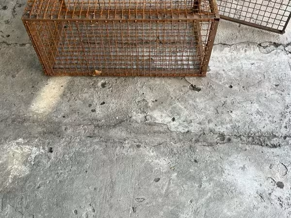 Վանդակներ և տնակներ