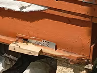 Arıçılıq üçün taxta arı pətəyi - Material: qalın taxta, ön hissədə — फ़ोटो 3