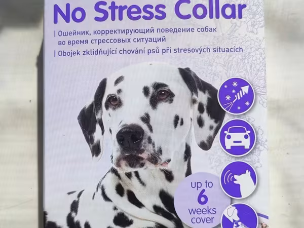 Mənim itimə yazılmışdı bu, stressdən panikadan qoruyan Dərmanlı