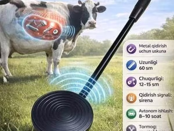 Sigirlar va buqalar uchun qoramol oshqozonidagi metalni aniqlash uchun