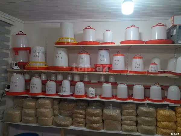 🐔 Toyuq, cücə və göyərçinlər üçün yem və su qabları satılır 📦 Su