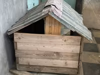 Taxta it evi - Material: tamamilə taxtadan yığma karkas, üstü dalğalı — Foto 3