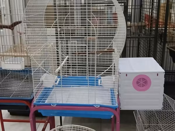 Her nov her qiymete qefesler var satisda maraqlamaq isdeyen elaqe