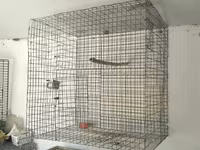 Metalkarkas quş qəfəsləri – iri həcmli model Məhsul təsviri: - — foto 1