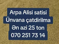 Arpa topdan satış - Yemlik arpa - Minimum sifariş miqdarı: 25 ton - — foto 4