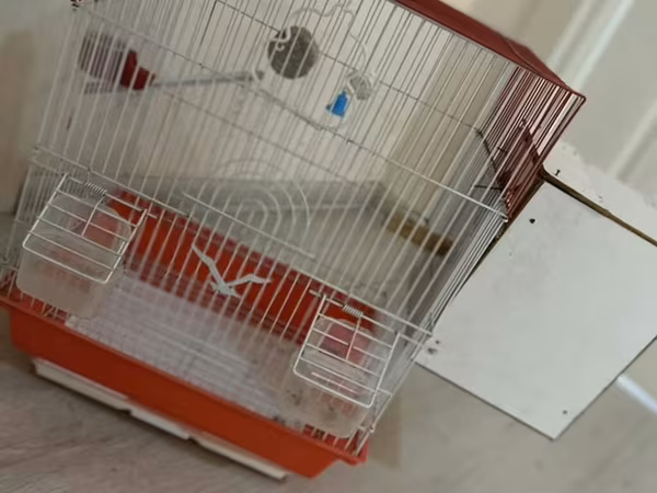 Quş qəfəsi – aksessuarlarla - Rəng: qırmızı-ağ - Material: metal