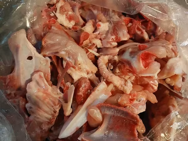 Ոսկոր հավի, տավարի