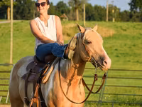 Caballo, American paint horse — foto 5