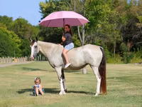 Madyan, Skyros Pony — foto 1