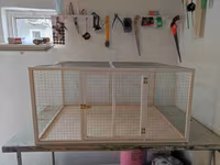 Papuqay,dovşan,hamster,şinşila,bildirçin,cücə,xamyak,pişik,quş,tısbağa — foto 1
