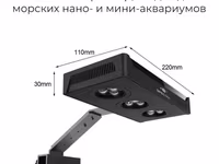 Ծովային ակվարիումի լույս — Foto 1