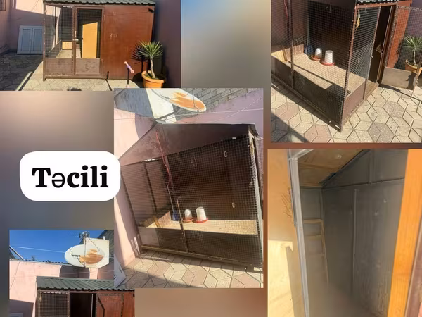 Təcili – hazır quşxana/sıxma toyuq damı - Material: metal karkas