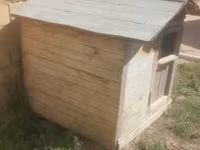 Taxta it evi / dam - Material: qalın taxta karkas, taxta obşivka - — 照片 4