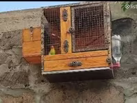 Ձեռքի սարքած սիրուն բներ — الصورة 1