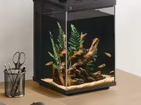Խելացի ակվարիում Аквариум умный Xiaomi Mijia Smart Fish Tank MYG200 10л — Foto 1