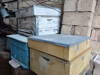 Arıçılıq üçün taxta pətəklər - Material: qalın taxta gövdə, üst — फ़ोटो 1