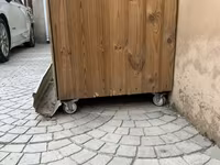 Böyük ölçülü quş volyeri/sərgi qəfəsi 40/40 demir profilden iç karkazı — фото 4