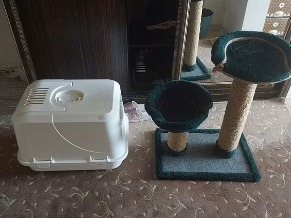 Pişiy yuvasi ile ayax yolu satilit ikiside 50 azen