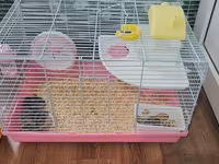 Cırtdan hamsterlər və tam avadanlıqlı qəfəs dəsti 2 qəfəs böyük və — 照片 2