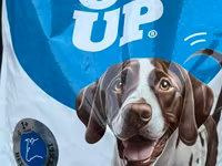 Endirimli qiymət . yararlanmaq üçün tələsin . DoG’s Up itlər üçün quru — 照片 1