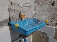 Quş qəfəsi – orta ölçülü, metal barmaqlıqlı və mavi plastik altlıqla — Foto 2