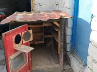 Taxta göyərçin daxması / quşxana - Material: qalın taxta karkas, iç — 照片 4