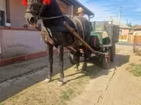 Ат, Аттар — сүрөт 5