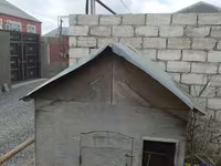 Taxta toyuq/broyler yuvası (mini tövlə) - Material: qalın faner — Foto 1