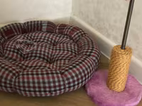 Məhsul: Pişik üçün rahatlıq və əyləncə dəsti Tərkibi: - Yumşaq — фото 3