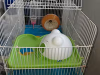 Hamster üçün tam dəst qəfəs uzunluqu 55 sm hündürlük 45 sm eni 30 sm — 照片 1