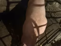 Säue, Schweine — Foto 3