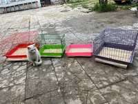 Etrafli vp 051 494 09 86 Qefeslerin her biri satişda var qefes bitende — foto 5