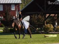 At, Racking Horse — foto 8