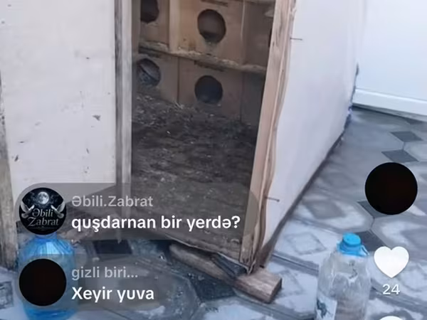 Göyərçin yuvası satılır hündürlüyü 1.50 eni 1.30 uzunu 1. 50 Hər yani