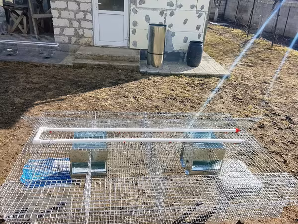 Cuști pentru iepuri клетка для кроликов
