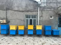 Arıçılıq üçün taxta arı pətəkləri - Model: çoxkorpuslu taxta pətək - — الصورة 4