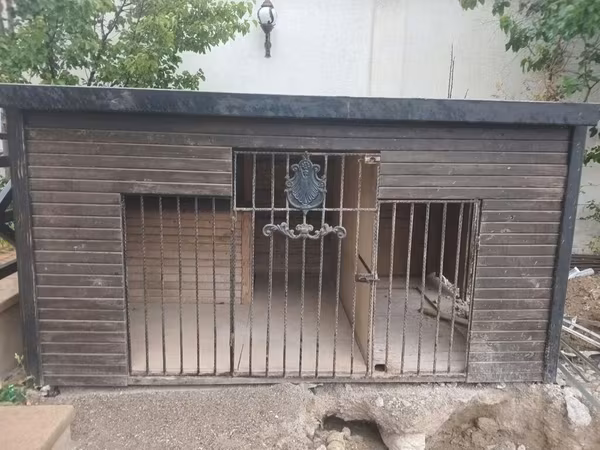 Salam it damıdı satılır3 metr uzunu 2 metr eni, 1.50 sm uzunluğudu