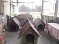 It yuvaları. 120 sm likdir.böyük ölçülü itlərədə uyugundur. hazır 8 — 照片 4