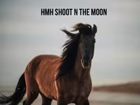 घोड़ा, Rocky Mountain Horse — फ़ोटो 7