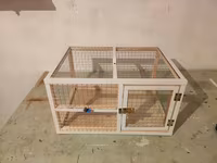 Dovşan,hamster,şinşila,bildirçin,cücə,xamyak,pişik,quş ve s kimi ev — Foto 2