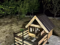 Açıq hava üçün taxta it evi – eyvanlı model - Material: möhkəm taxta — foto 1